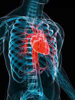 Chirurgiens cardio-vasculaires